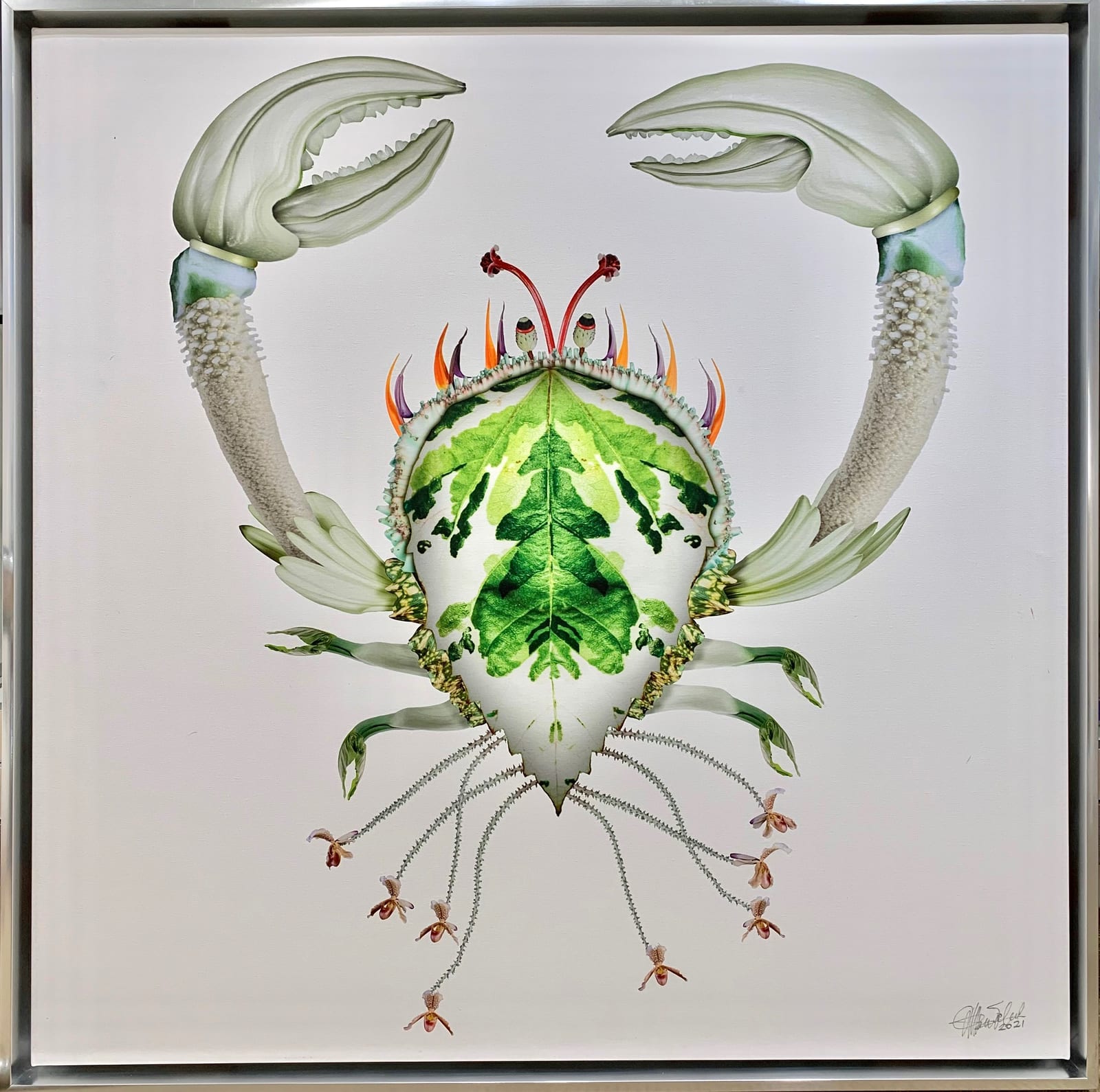 CRUSTACEAN 