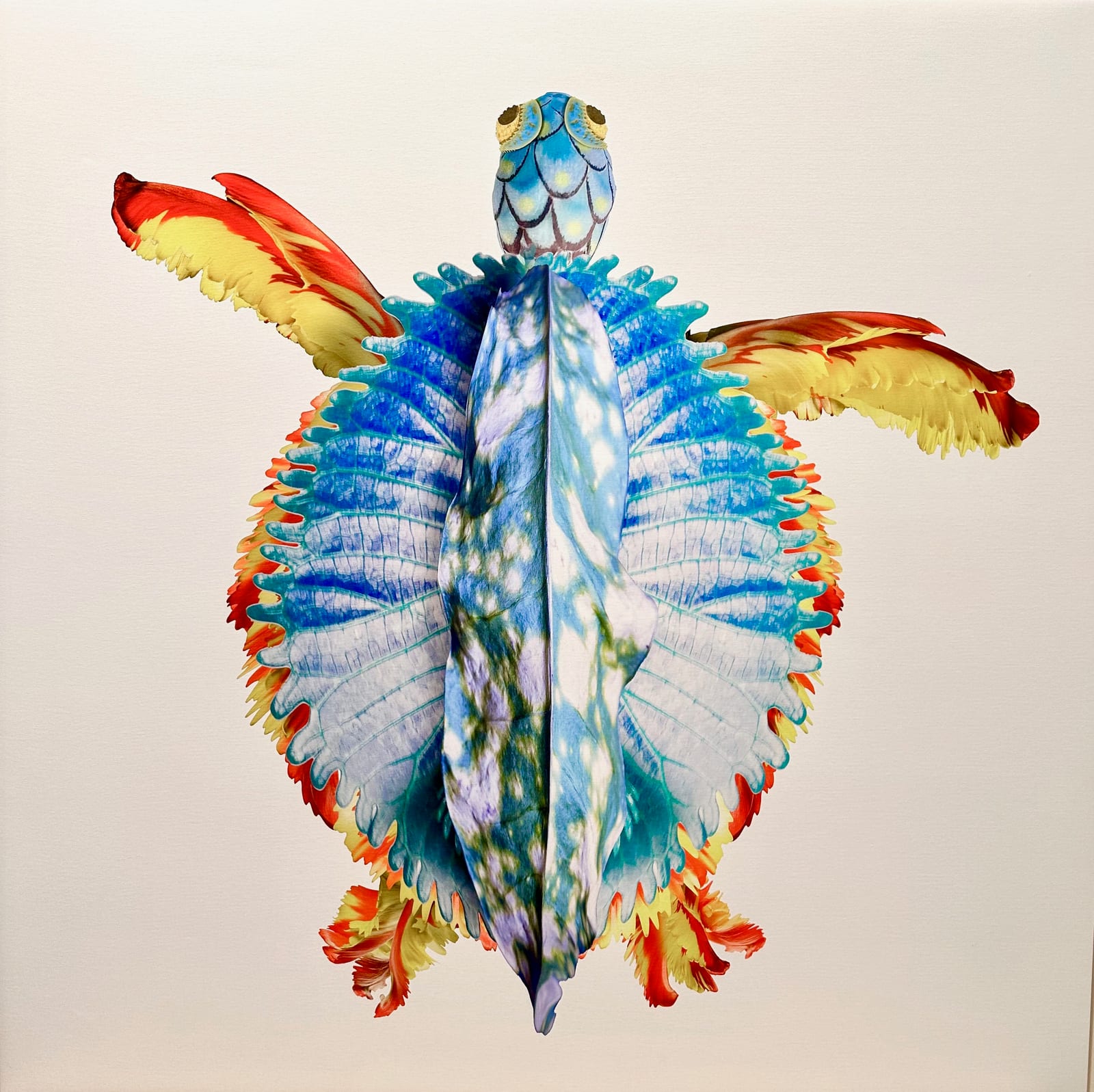 TURTLE