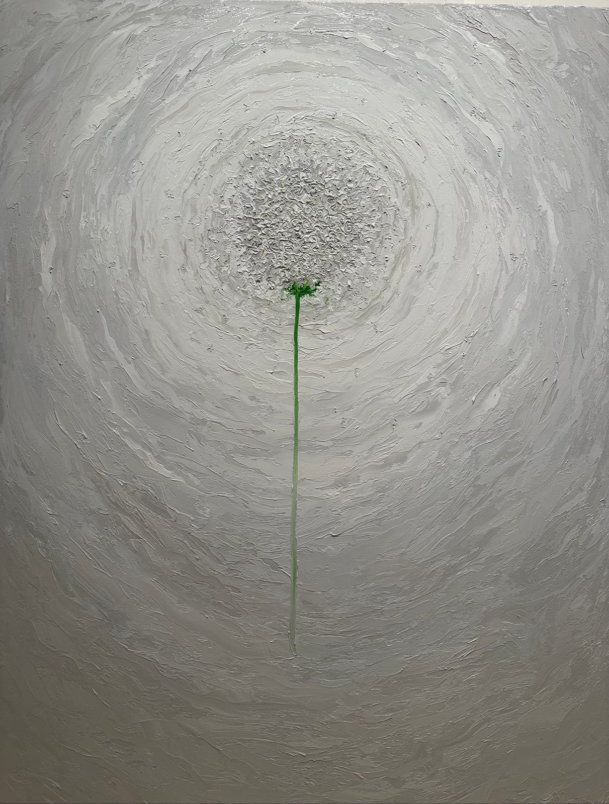 A CHROMATIC DANDELION 