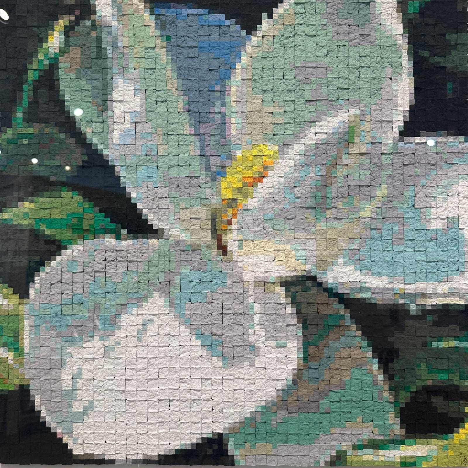 MAGNOLIA
