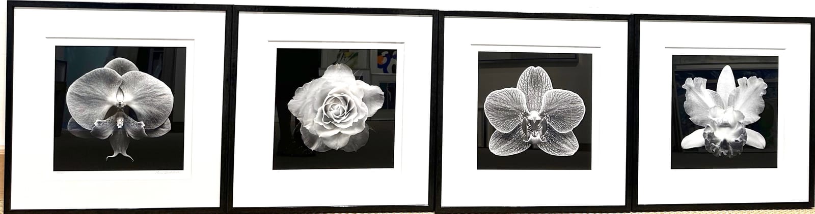 FLORA SERIES ON PAPER 