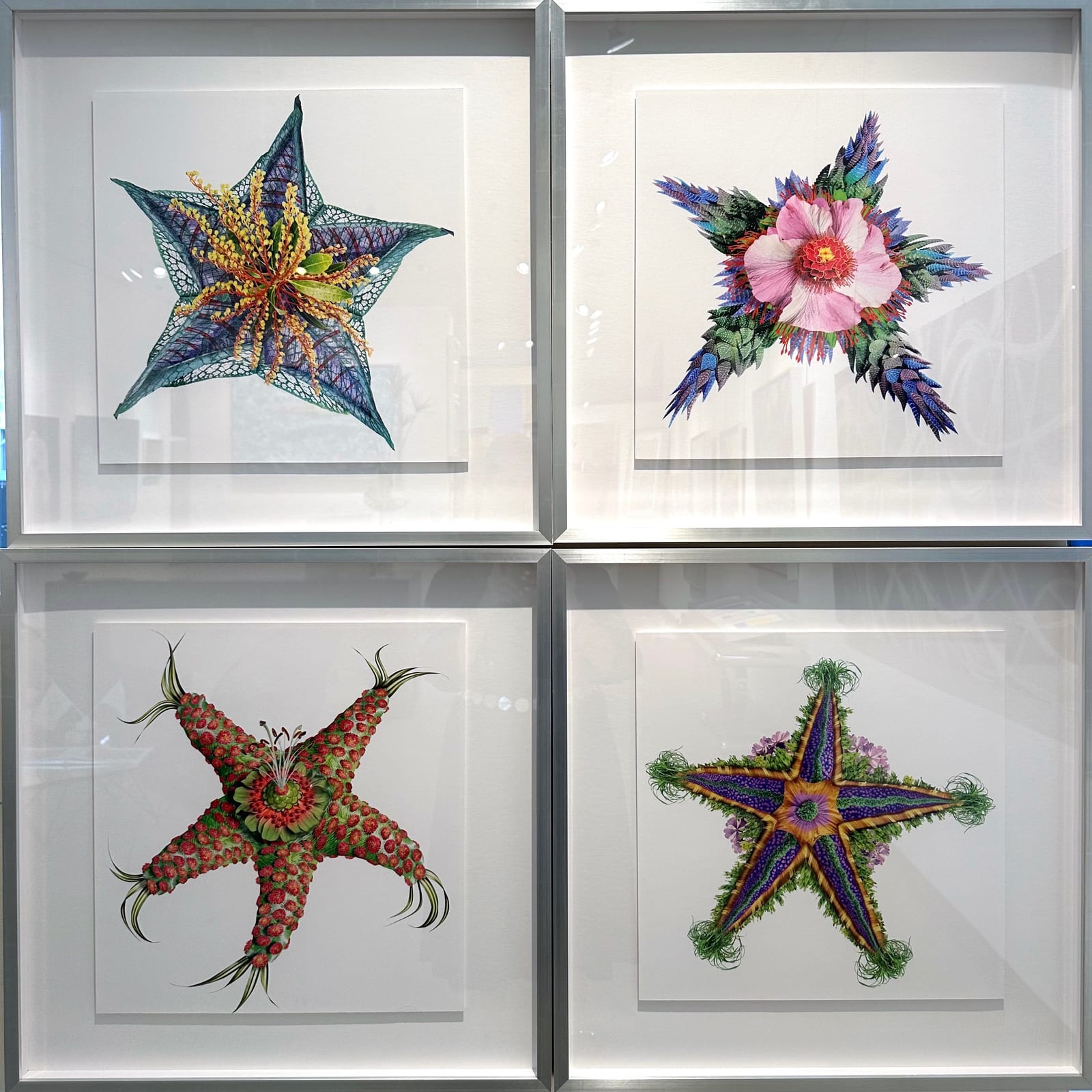 STARFISH QUAD