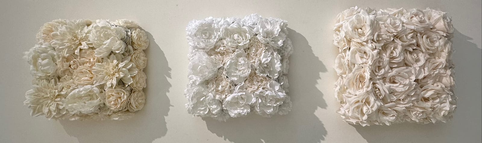 WHITE, CREAM, AND ROSIE SUNSHINE