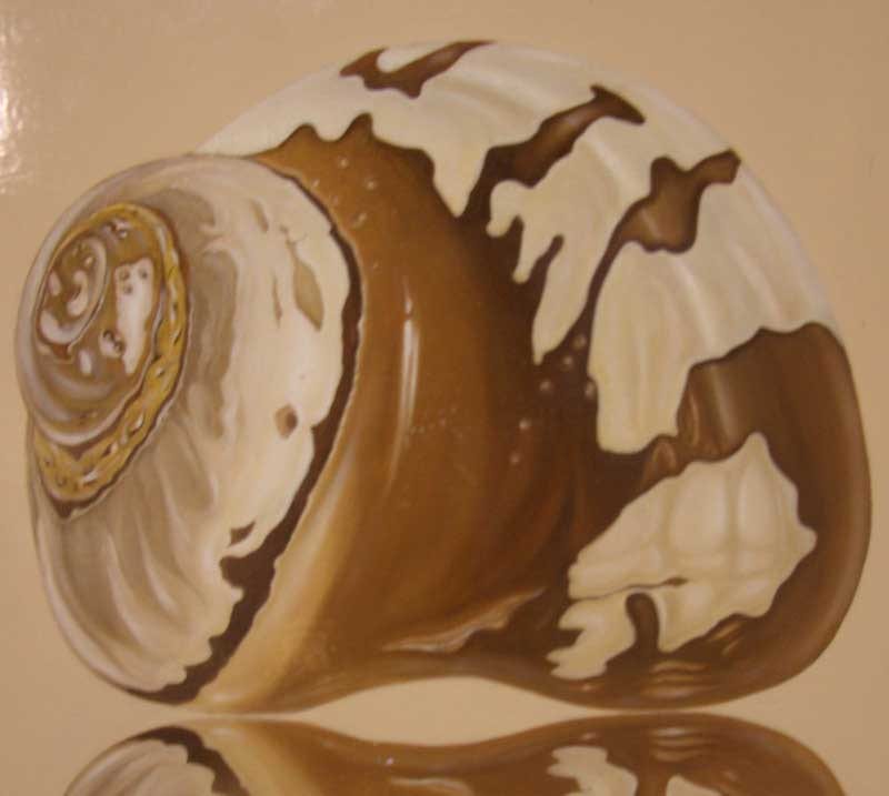NAUTILUS SERIES
