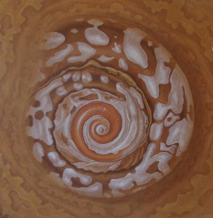 NAUTILUS SERIES