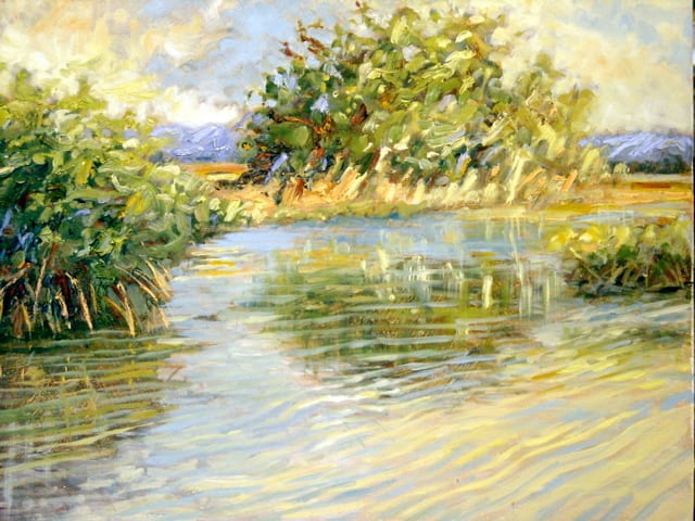 EVERGLADES REFLECTIONS