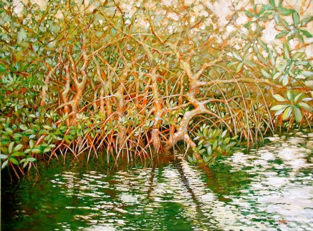 MANGROVES