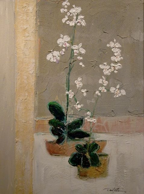 COLLECTION (HALEAS I)