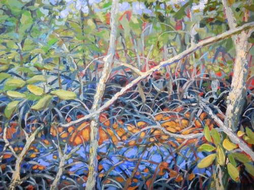 LBK MANGROVES