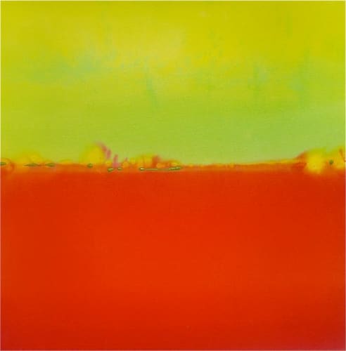 COLOR FIELD STUDIES