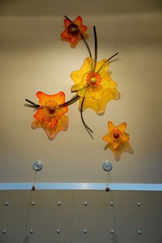 YELLOW WALL FLOWERS