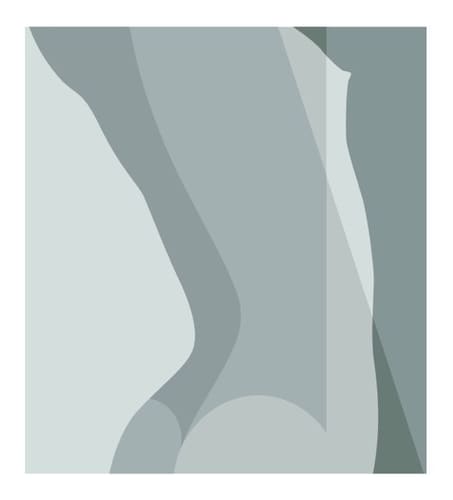 TORSO #2