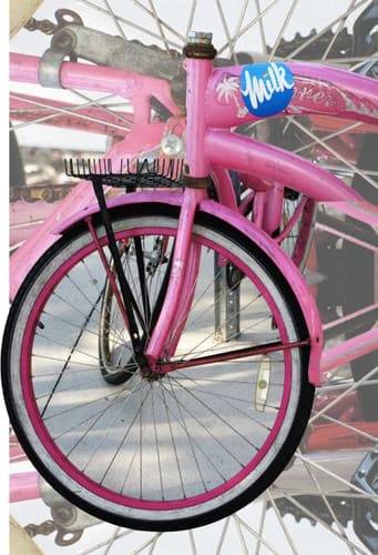 THE PINK BIKE