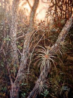SWAMP COLOR