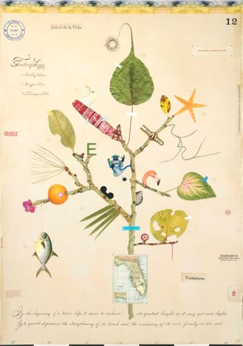 FLORIDA TREE OF LIFE