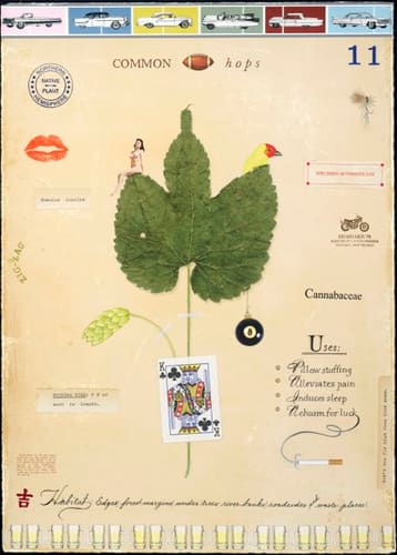 HOPS WITH CARD