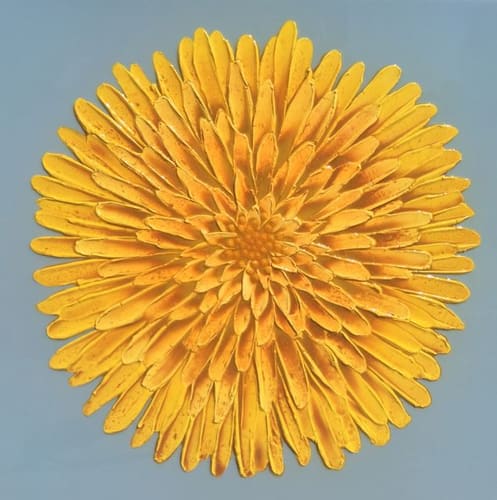 GRANDE FIORE GF02