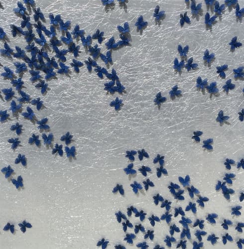 BLUE'S FAMILY REUNION