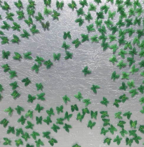 GREEN FAMILY REUNION