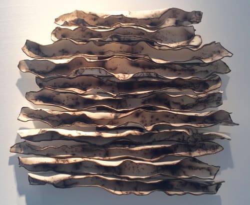 CLAY BIRCH