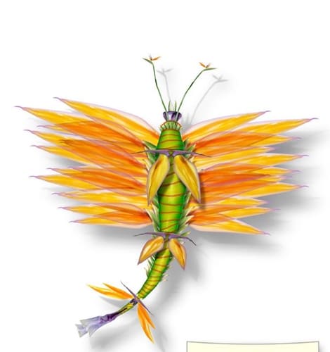 BUTTERFLY 35
