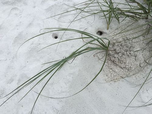 CLOUDS, SAND & WATER SERIES 3