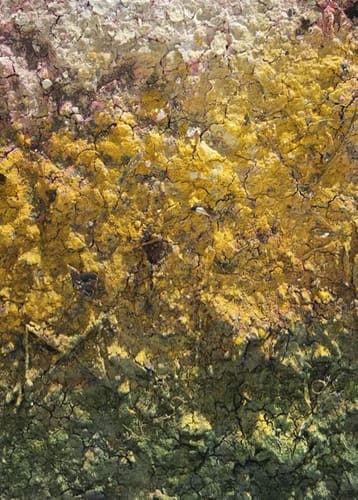 FRESCO TEMPERA