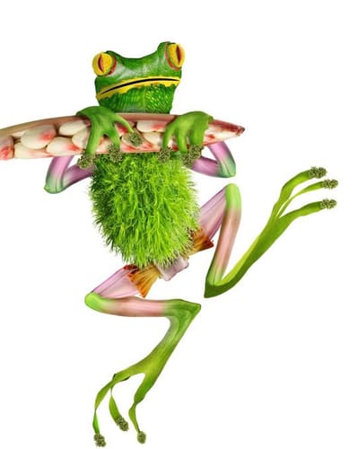 FROG #7 ON PAPER