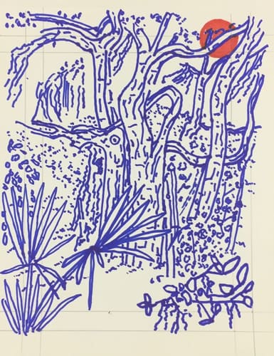 BLUE BANYAN #1