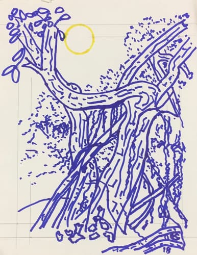 BLUE BANYAN #2