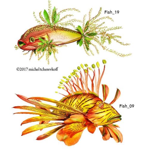 DOUBLE FISH