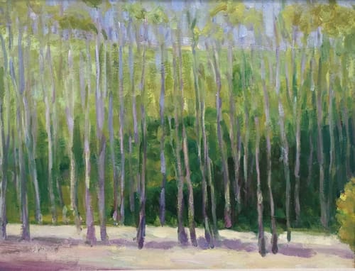 NC LANDSCAPE