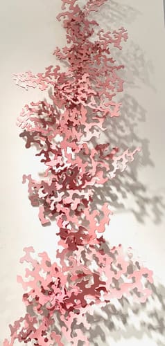 CORAL SCAPE