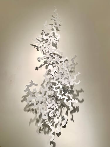 DAPPLED WHITE 3