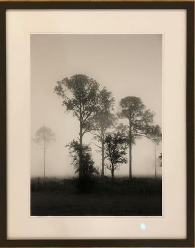 BEYOND THE FOG