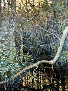 SWAMP REFLECTIONS 2