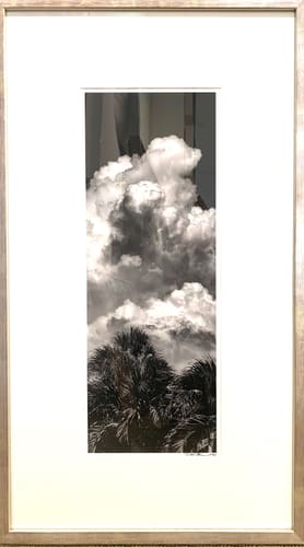 BEFORE THE STORM