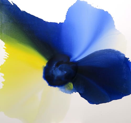 ISNESS 154