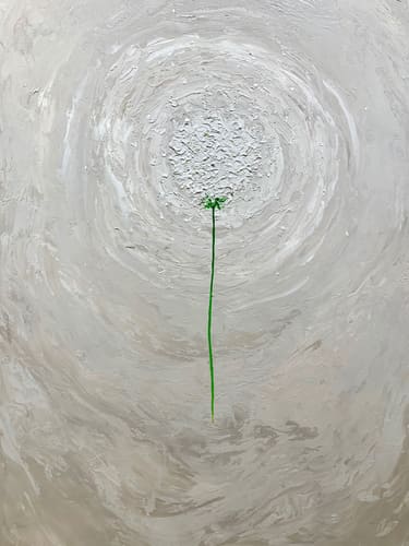 BLOSSOM OF OPTIMISM
