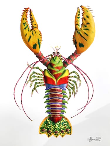 FLORAL LOBSTER 1