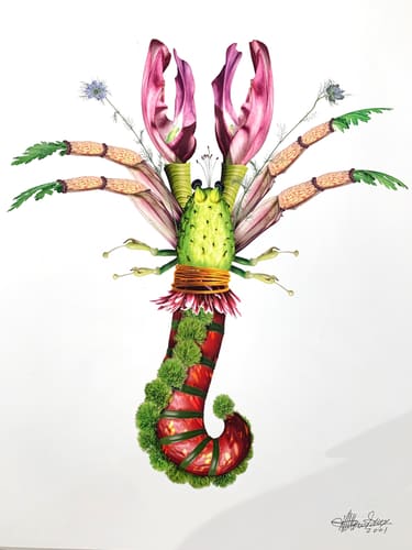 FLORAL LOBSTER 2