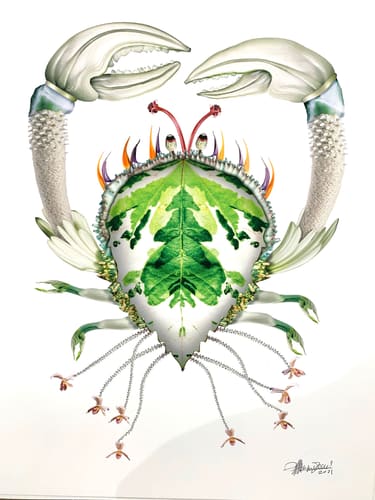 FLORAL CRUSTACEAN