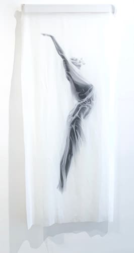 VOILE SERIES