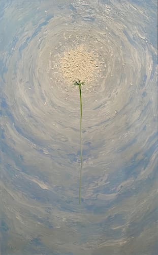 FLOWER OF OPTIMISM - BLUE SKIES