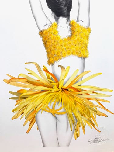 PIN UP SERIES 1