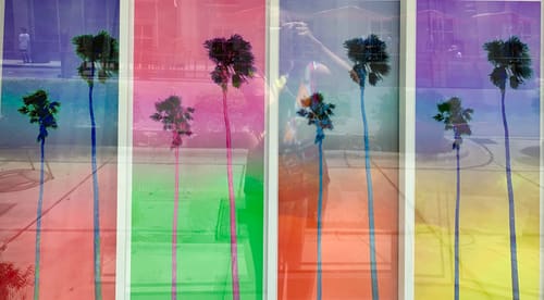 NEON PALMS