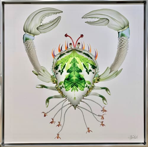 CRUSTACEAN 