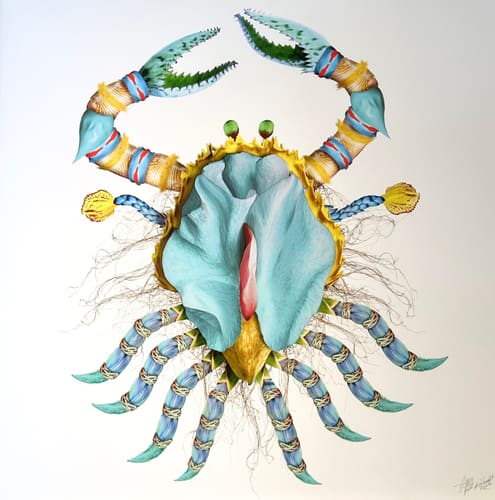 BLUE CRAB 