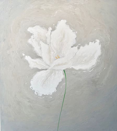 WHITE PARROT TULIP