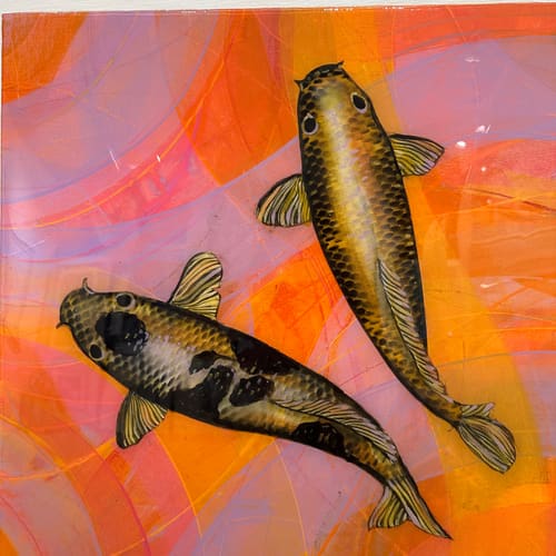 KOI - CORAL 
